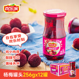 欢乐家糖水杨梅罐头 新鲜水果罐头礼盒送礼 解馋休闲零食 256g*12瓶