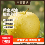 山东烟台黄金奶油富士苹果脆甜冰糖心很像维纳斯苹果 带箱9.5斤75果
