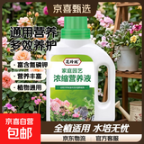 植物营养液通用型家用盆栽发财树富贵竹绿萝水培花卉绿植蔬菜肥料 通用营养液500ml×5瓶