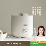 olayks立时 电压力锅 高压锅 家用高压电饭锅快煮预约压力锅小型 3L适用2-3人用 YBW3001B