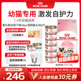 皇家猫粮 离乳期幼猫粮干湿套装BK34 2KG+幼猫湿粮罐头BMC 88g*6