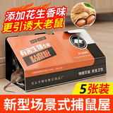 地依猫粘鼠板捕鼠折叠板加大加厚板三角形老鼠粘强力胶灭老鼠贴 5张