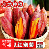 现挖沙地蜜薯红薯新鲜农家糖心番薯烤地瓜软糯批发黄心包邮 西瓜红蜜薯2斤中小果