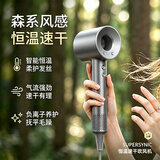 【护发金奖款】S01高速吹风机家用静音负离子大功率不伤头发女士专用电吹风筒大风力男士速干新款 经典影灰-单风嘴【60亿水润负离子丨飓风速干】 2026年新款S01专业护发系列