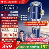惠尔顿前置过滤器20T大通量过滤25微米反冲洗家用全屋净水器 实时自动清洗刮洗自来水防爆过滤器P0038pro 自行安装【20T-升级25微米精滤】