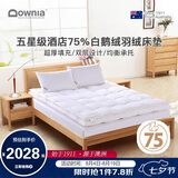 Downia床褥 五星级酒店同款75%白鹅绒羽绒床褥垫子 厚榻榻米垫子1.5米床
