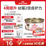 皇家猫粮 幼猫湿粮 幼猫奶糕 离乳期幼猫罐头1-4月通用粮88g