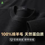 杉杉【100%羊毛】纯羊毛衫男士春秋季圆领毛衣薄款套头打底针织衫男装
