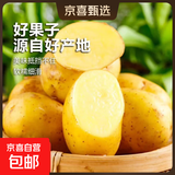 当季山东黄心土豆新鲜现挖土豆农家马铃薯黄皮黄心大包装健康即食 黄心土豆小果 2斤(带箱)