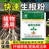 智绿强力生根粉植物通用苗木扦插快速生根液果树移栽生根剂花卉营养液 快速生根粉10g*5袋