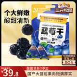 三只松鼠每日蓝莓干500g 蜜饯果干酸甜休闲零食下午茶孕妇儿童健康零食