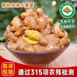 佰家珍品（BAIJIA ZHENPIN）有机小黄姜云南文山新鲜老姜 采山农正宗黄老姜0农残生鲜蔬菜 有机鲜姜（水洗）1斤*1份