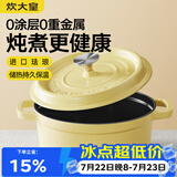 炊大皇珐琅锅铸铁锅家用炖锅砂锅汤锅焖烧锅电磁炉燃气煮锅22cm