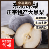 东北冻梨 正宗特产冻梨大黑梨 净重5斤 大果250-350g