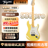 Tagima电吉他塔吉玛TG510 530 635单摇单单双男女初学者入门电吉他套装 39英寸单单双丨YL柠檬黄丨TG530PRO