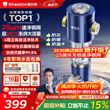 惠尔顿前置过滤器20T大通量过滤25微米反冲洗家用全屋净水器 实时自动清洗刮洗自来水防爆过滤器P0038pro 自行安装【20T-升级25微米精滤】