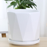 芊堂苑北欧花盆陶瓷黑白色家用室内阳台兰花蝴蝶兰带托盘绿萝君子兰盆景 70010白 特大