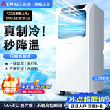 志高（CHIGO）移动空调大1匹单冷无外机免安装欧洲热卖便携式空调厨房客厅铜管立式空调