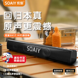 索爱（soaiy）索爱SH17电脑音响台式家用桌面有线游戏电竞音箱重低音炮长条式情人节礼物