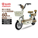 台铃电动自行车新大果粒2026新国标可上牌48V20Ah铅酸电池通勤代步电动车电自香草白