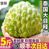 壹萌果蔬释迦果新鲜【顺丰次日达】大目释迦果番荔枝泰国热带水果节日送礼 3斤老树果【单果350g+】净重2.5斤