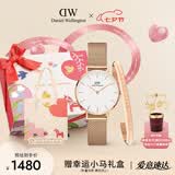 丹尼尔惠灵顿（DanielWellington）DW经典流金表手镯套装小众轻奢石英欧美腕表生日礼物送女友