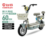 台铃电动自行车新大果粒2026新国标可上牌48V20Ah铅酸电池通勤代步电动车电自莫兰迪绿