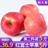 聚牛果园烟台红富士苹果5斤 简装 时令生鲜水果 富士果径85-90mm5斤特大果 新鲜苹果