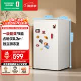 容声95L单门小冰箱家用一级能效小户型节能超薄保鲜出租房宿舍迷你以旧换新BC-95D12