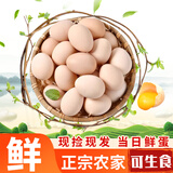 云依禾农庄 可生食鸡蛋新鲜现捡鸡蛋早餐生鲜鸡蛋 50g±5g/枚 可生食鸡蛋30枚