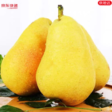 京地达甘肃香蕉梨 太婆梨放软吃 净重4.5斤单果150g+ 源头直发包邮