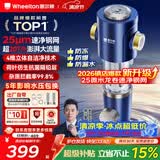 惠尔顿前置过滤器20T大通量过滤25微米反冲洗家用全屋净水器 实时自动清洗刮洗自来水防爆过滤器P0038pro 自行安装【20T-升级25微米精滤】