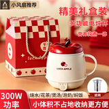 养生壶电炖杯养生杯煮茶花茶银耳热牛奶神器便携烧水壶办公室烧水杯实用新年生日礼物送男女生 0.5L 带滤网/礼物礼品伴手礼