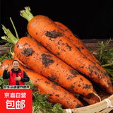 京喜加山东新鲜胡萝卜水果胡萝卜现挖现发蔬菜水果沙地红萝卜减脂 带泥胡萝卜5斤 净重 含箱
