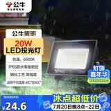 公牛（BULL）LED投光灯户外庭院工厂园林灯露营灯 IP65防水等级20W-6500K白光