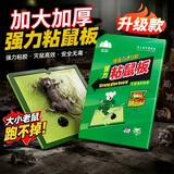山山 粘鼠板强力型家用老鼠粘贴捕鼠器超值5张装