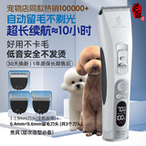 玄鸟宠物专用剃毛器狗狗留毛泰迪比熊电推剪宠物店专用P100-6.4-9.6