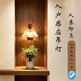 福烁法式中古风卧室床头小吊灯入户玄关吊线灯人体感应轻奢氛围感升降 【人体感应+暖光】常规款/金箔花苞 接电款-适用于卧室床头/入户玄关过道（护眼全光谱光）