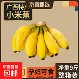 广西小米蕉当季新鲜应季水果日日鲜香甜小香蕉芭蕉孕妇水果整箱 净重9斤 酸甜口的小香蕉