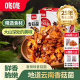 咚咚香菇菌云南特产休闲零食香辣素食即食小包装追剧解馋办公室小吃 香辣味*240g*1盒