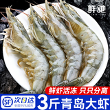 鲜驰 虾 青岛大虾 基围虾鲜活青虾白虾海虾对虾冰虾冻虾生鲜 虾类海鲜 气冻大虾 3斤(净重)  14-16cm【单只冻 无冰衣】