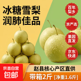 京喜加赵县百年梨乡白梨黄冠梨【京严选】核心产区小吊梨汤冰糖梨润肺 带箱2斤[净重1.6斤]单果250g 黄冠梨 果园直发 京东快递
