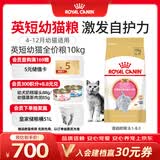 皇家猫粮 英短幼猫粮 BSK38 4-12月 10KG