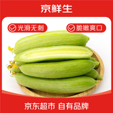 京鲜生山东奶油黄瓜净重3斤 旱黄瓜 减脂餐水果黄瓜 源头直发包邮