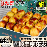 粤迎陕西大荔冬枣【京东顺丰送货上门】新鲜当季现摘现发脆甜冰糖枣子 5斤独享装【多人分享装-蕞蕞划算】净4.5斤 SS+级商超果【单果20g+】我蕞甜