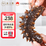 参王朝大连即食海参 1斤 5-7只 独立包装辽刺参海鲜水产简装 固形物85%