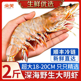 朵芙海捕大明虾 大对虾 鲜活船冻 对虾 竹节虾海虾大虾过年礼盒送礼 特大明虾18-20cm 500g(净重)  *2盒
