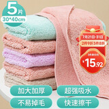 LYNN家务保洁抹布30*40cm5张打扫卫生厨房洗碗布百洁布洗车擦车毛巾