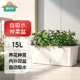 德沃多种菜盆长方形种植箱塑料加厚自动吸水花盆种菜箱蔬菜种植盆大号