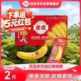 佳农进口香蕉 1kg（约5-6根）礼盒装 单根蕉 独立包装 生鲜水果 包邮